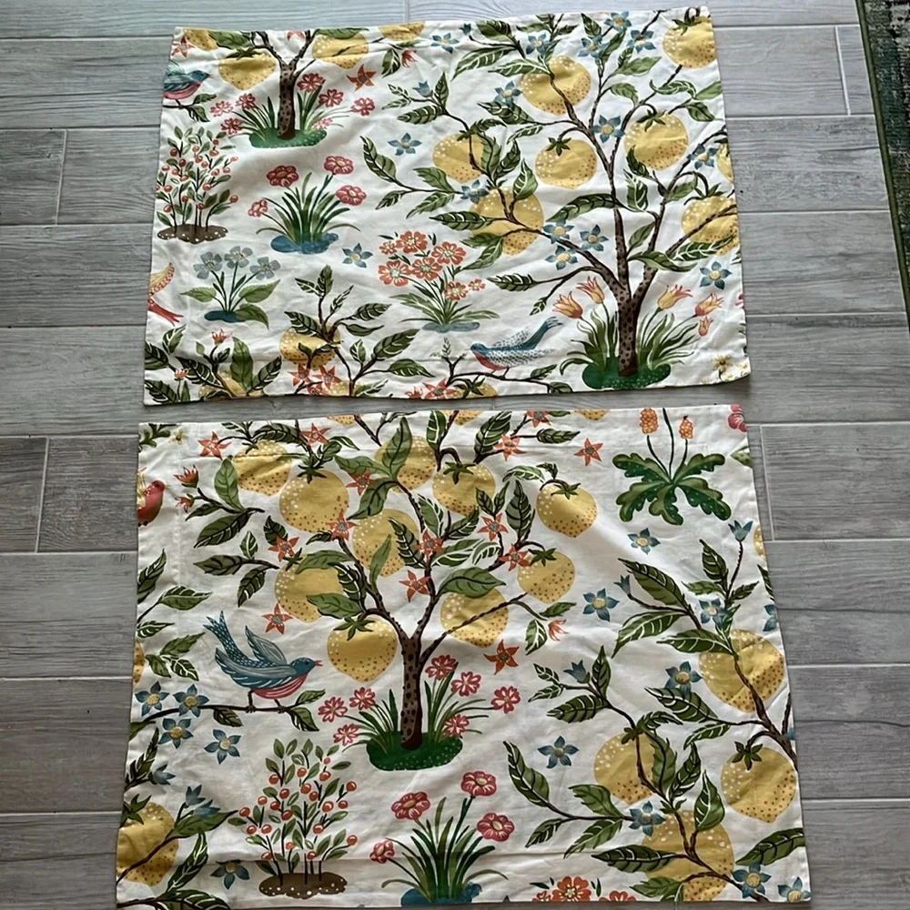 Pottery Barn 2 Jocelyn bird lemon floral pillow shams linen cotton Standard